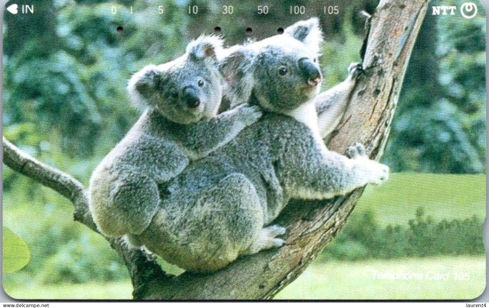 8-3-2024 (Phonecard) Japan - Koala  Phonecard - Carte De Téléphone (1 Card) - Altri - Asia