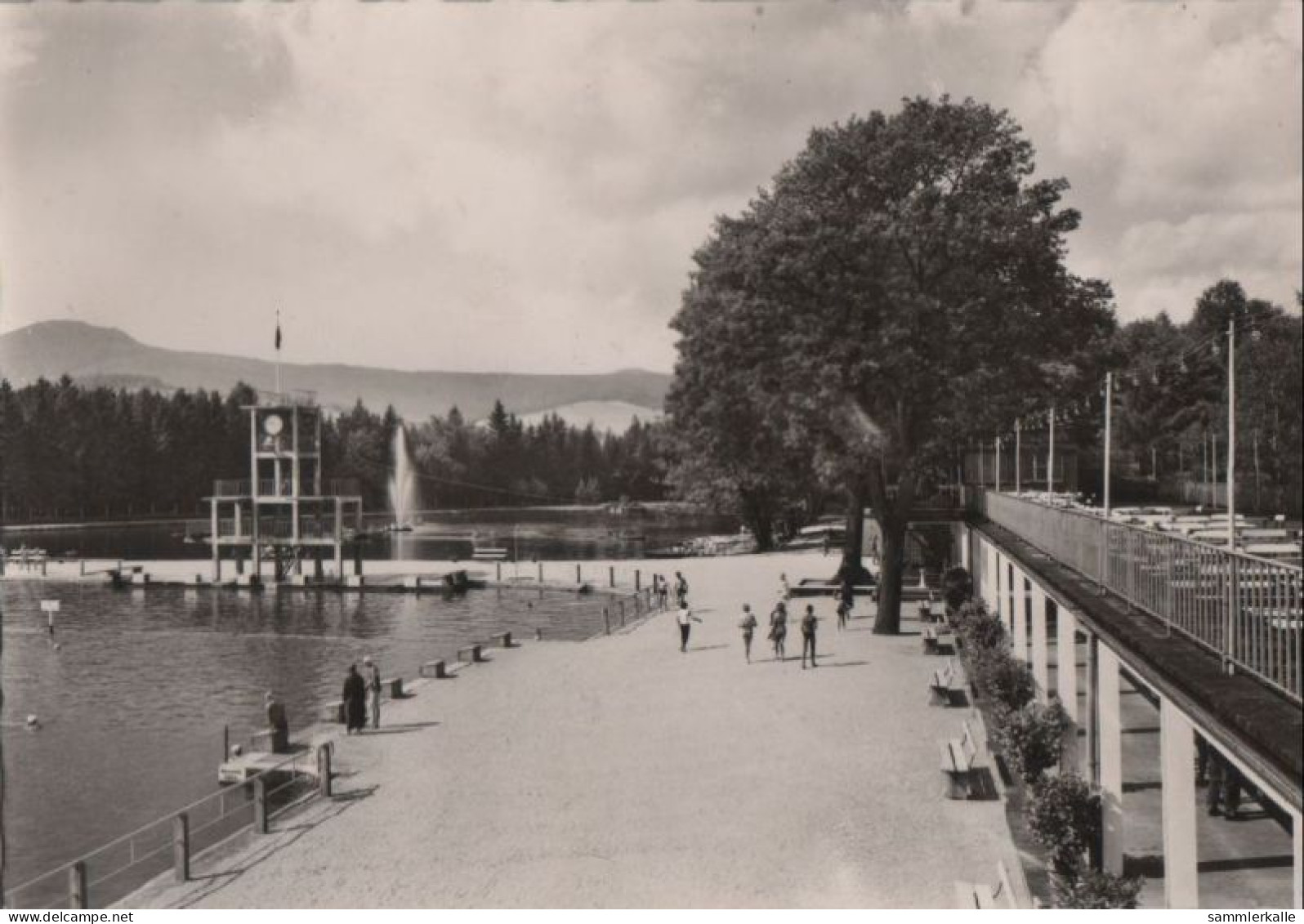 81419 - Grossschönau - Waldstrandbad - 1960 - Grossschönau (Sachsen)