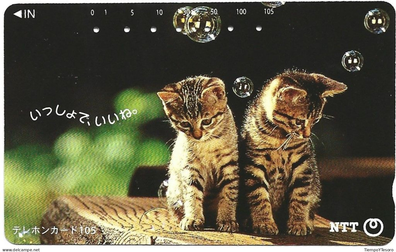 Phonecard - Japan, Kittens 1, N°1157 - Sammlungen