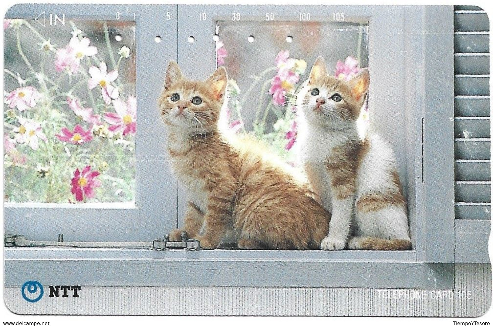 Phonecard - Japan, Kittens 7, N°1163 - Verzamelingen