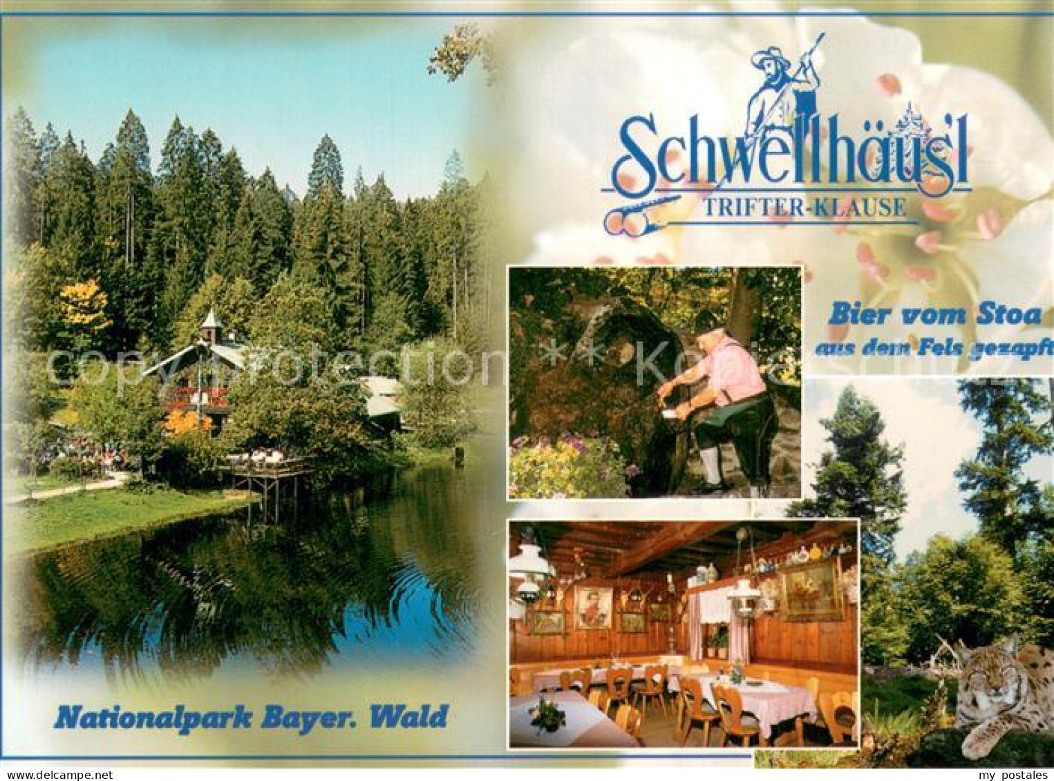 73776043 Zwiesel  Niederbayern Schwellhaeusl Trifterklause Nationalpark Bayer Wa - Zwiesel