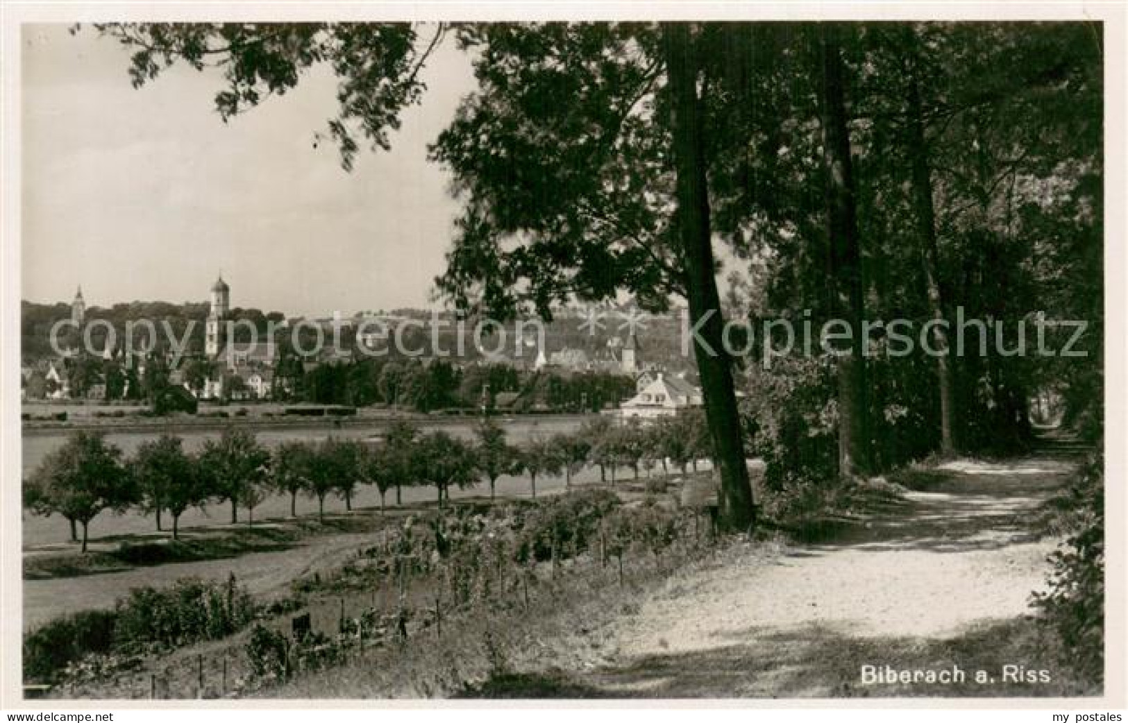 73775768 Biberach Riss Ansicht Vom Waldrand Aus Biberach Riss - Biberach