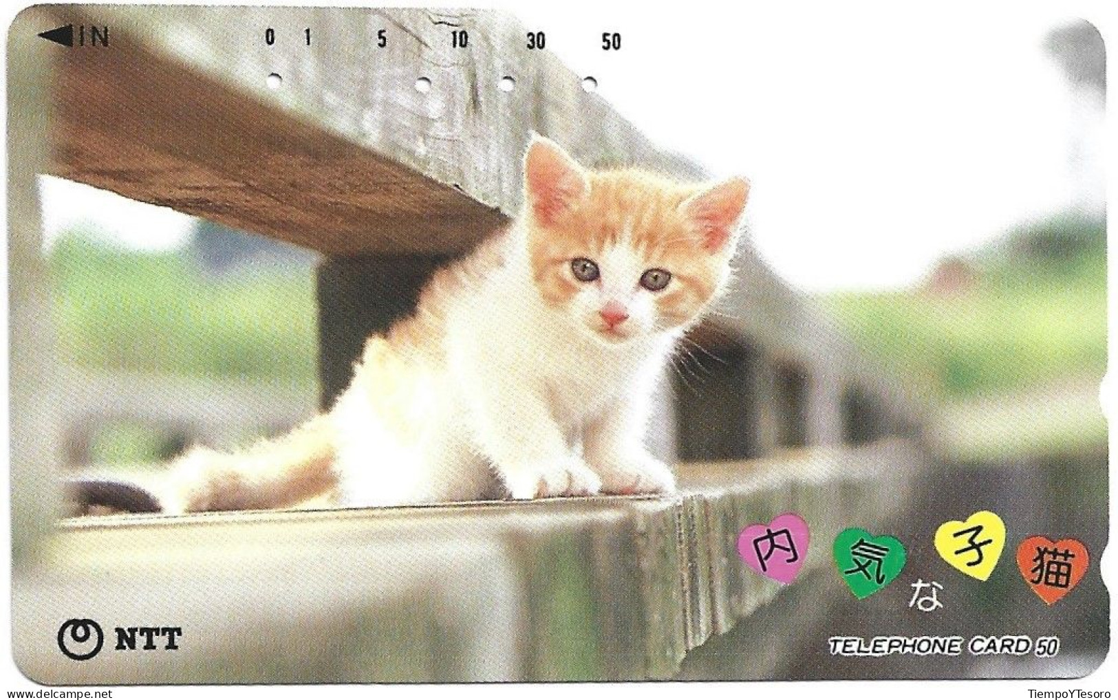 Phonecard - Japan, Kittens 9, N°1165 - Collections