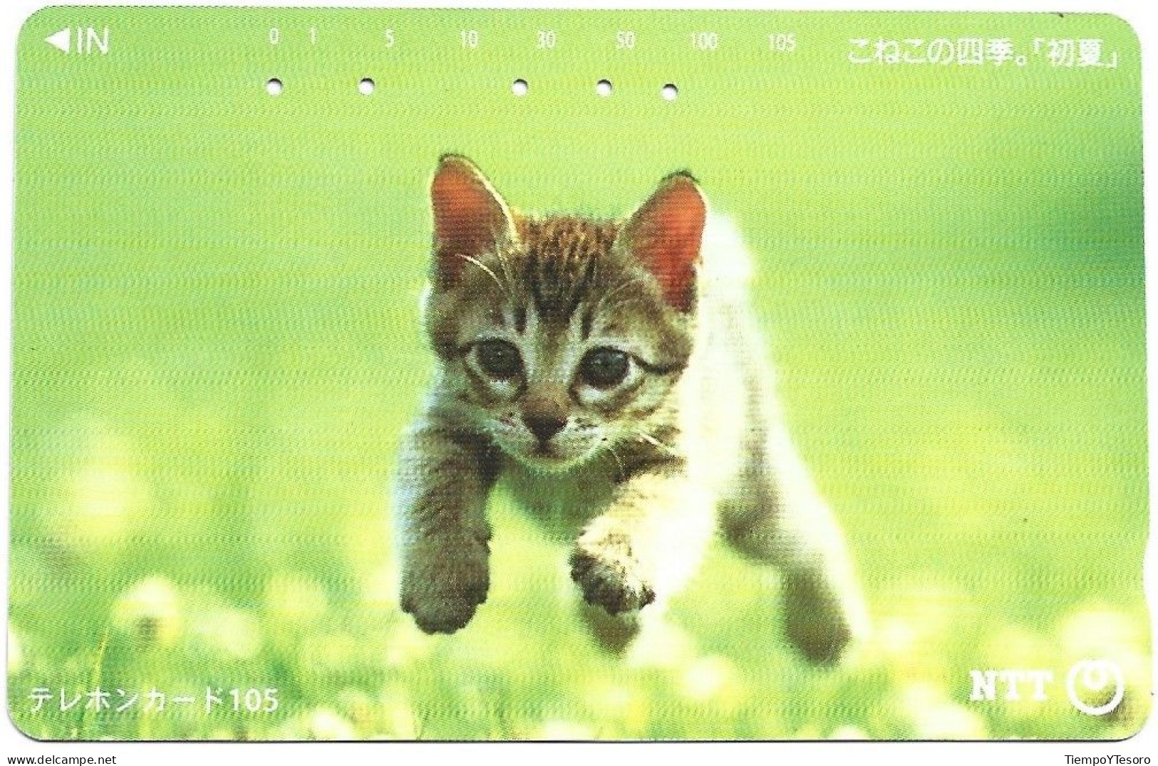 Phonecard - Japan, Kittens 10, N°1166 - Colecciones