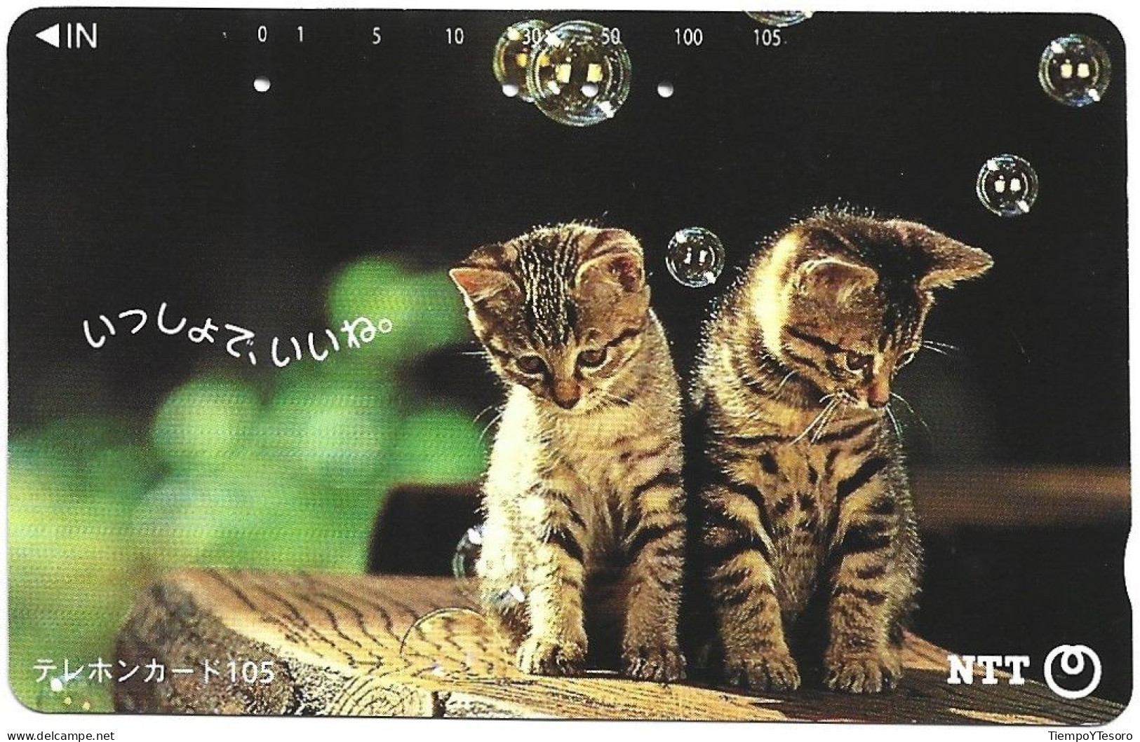 Phonecard - Japan, Kittens 11, N°1167 - Sammlungen