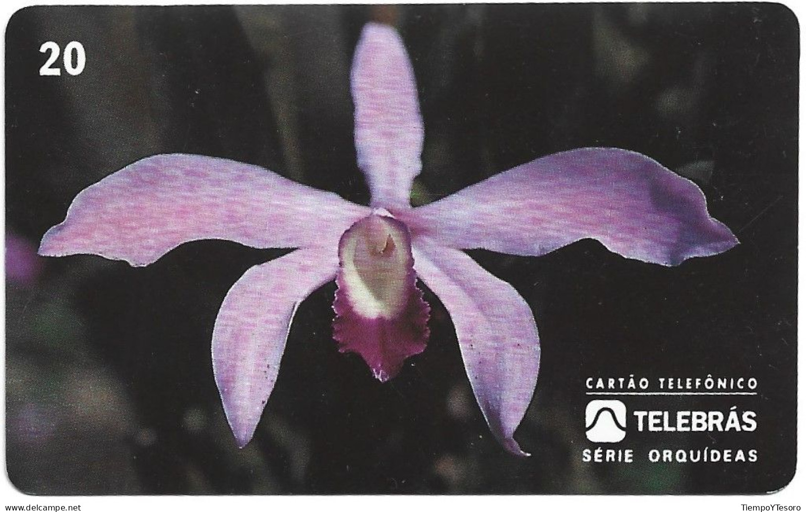 Phonecard - Brazil, Orchids 1, N°1177 - Collezioni