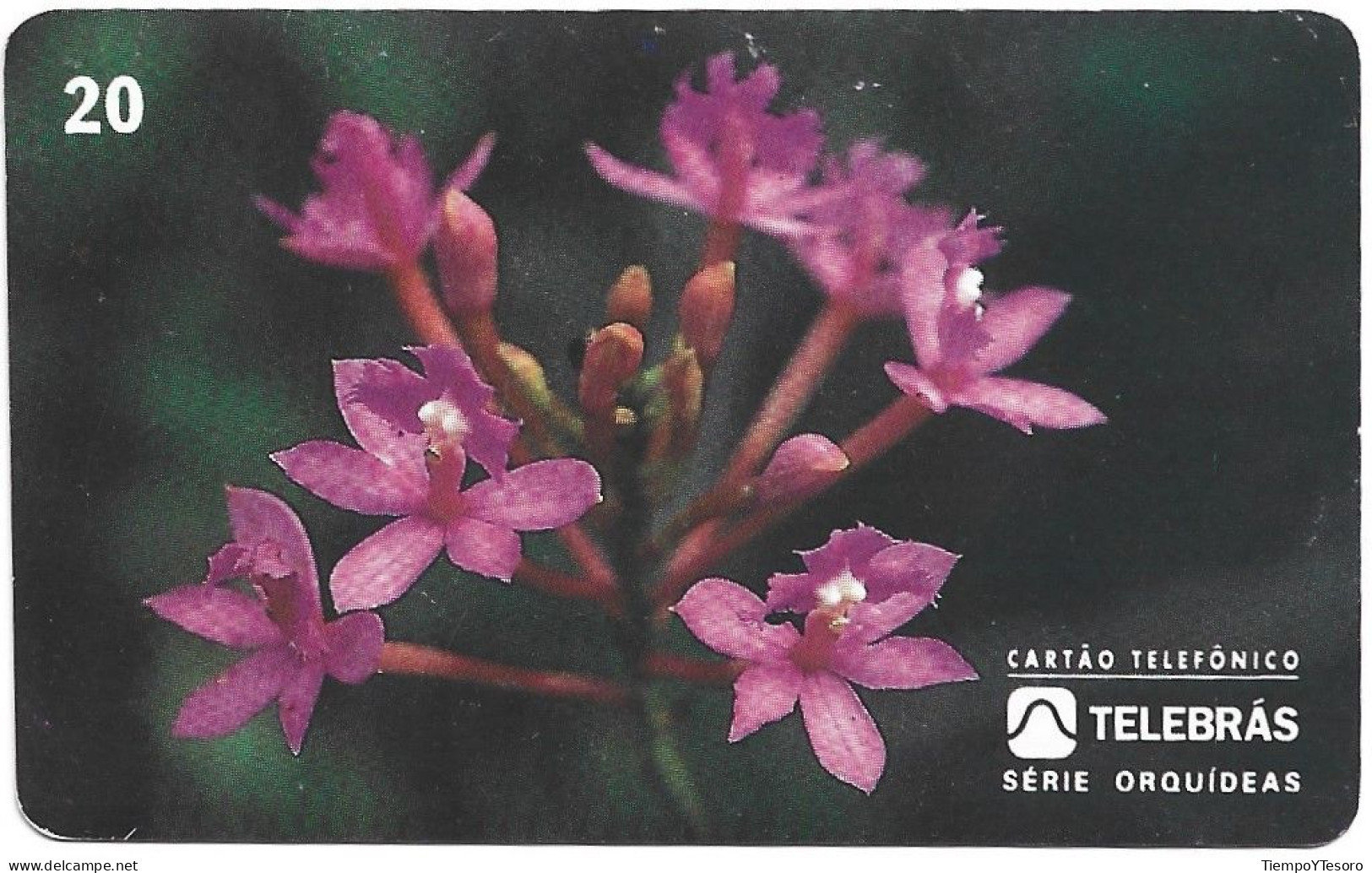 Phonecard - Brazil, Orchids 2, N°1178 - Sammlungen