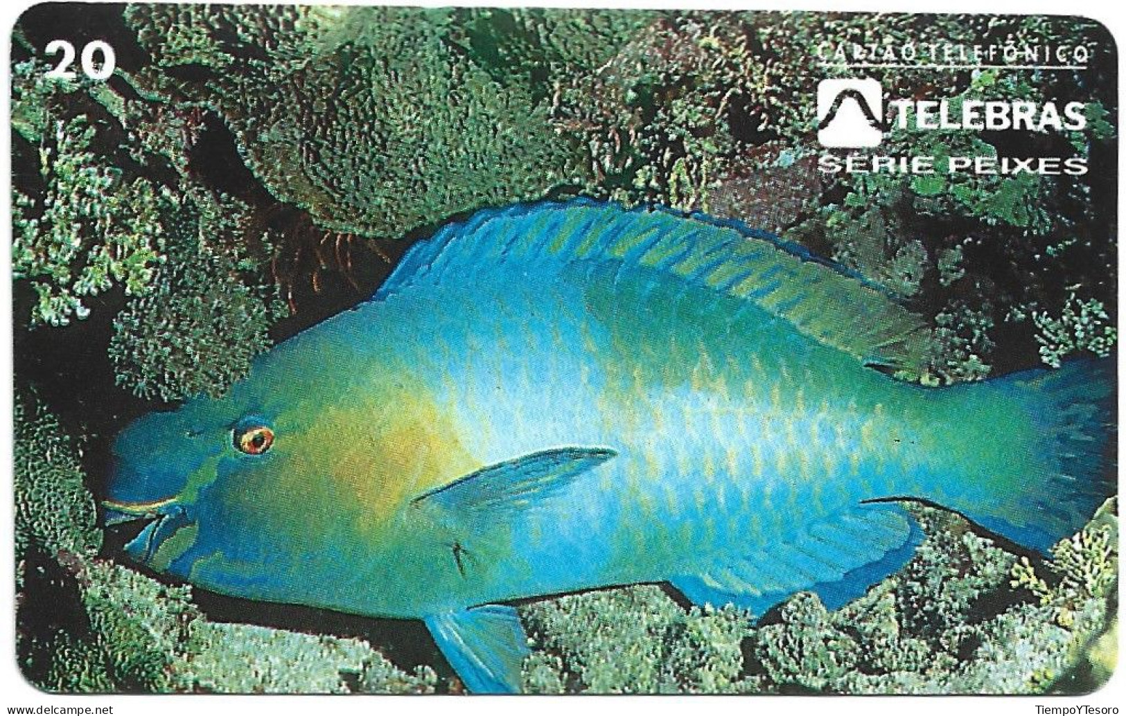 Phonecard - Brazil, Fish 1, N°1180 - Lots - Collections