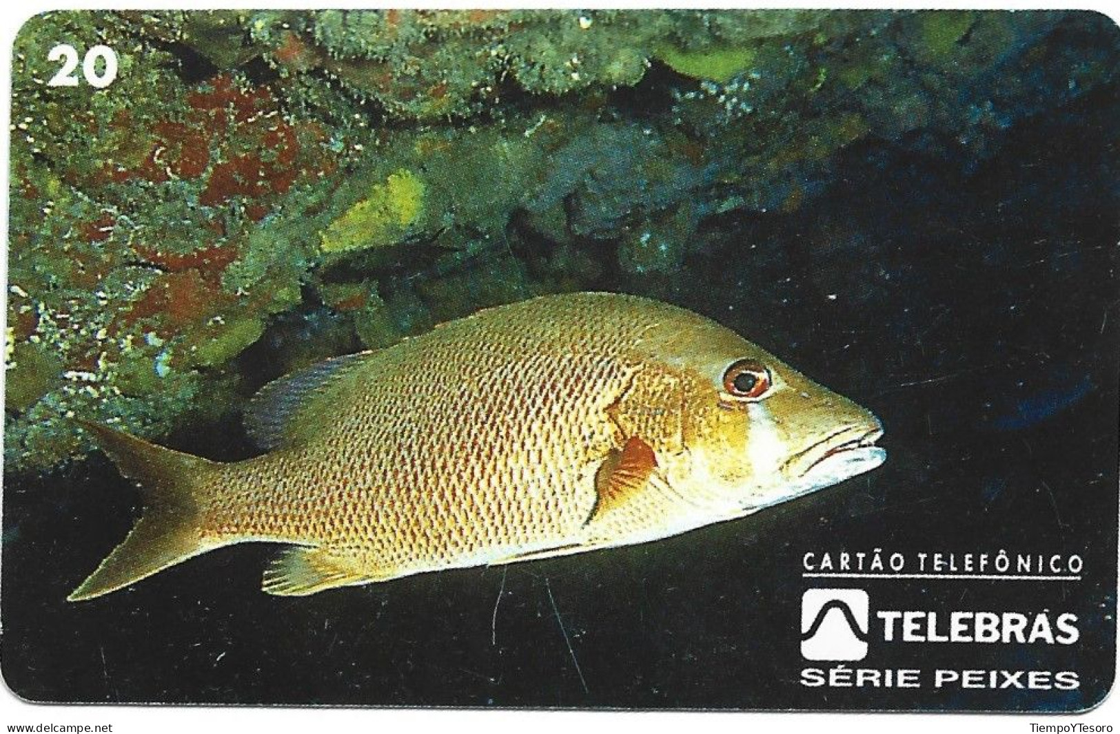 Phonecard - Brazil, Fish 3, N°1182 - Collezioni