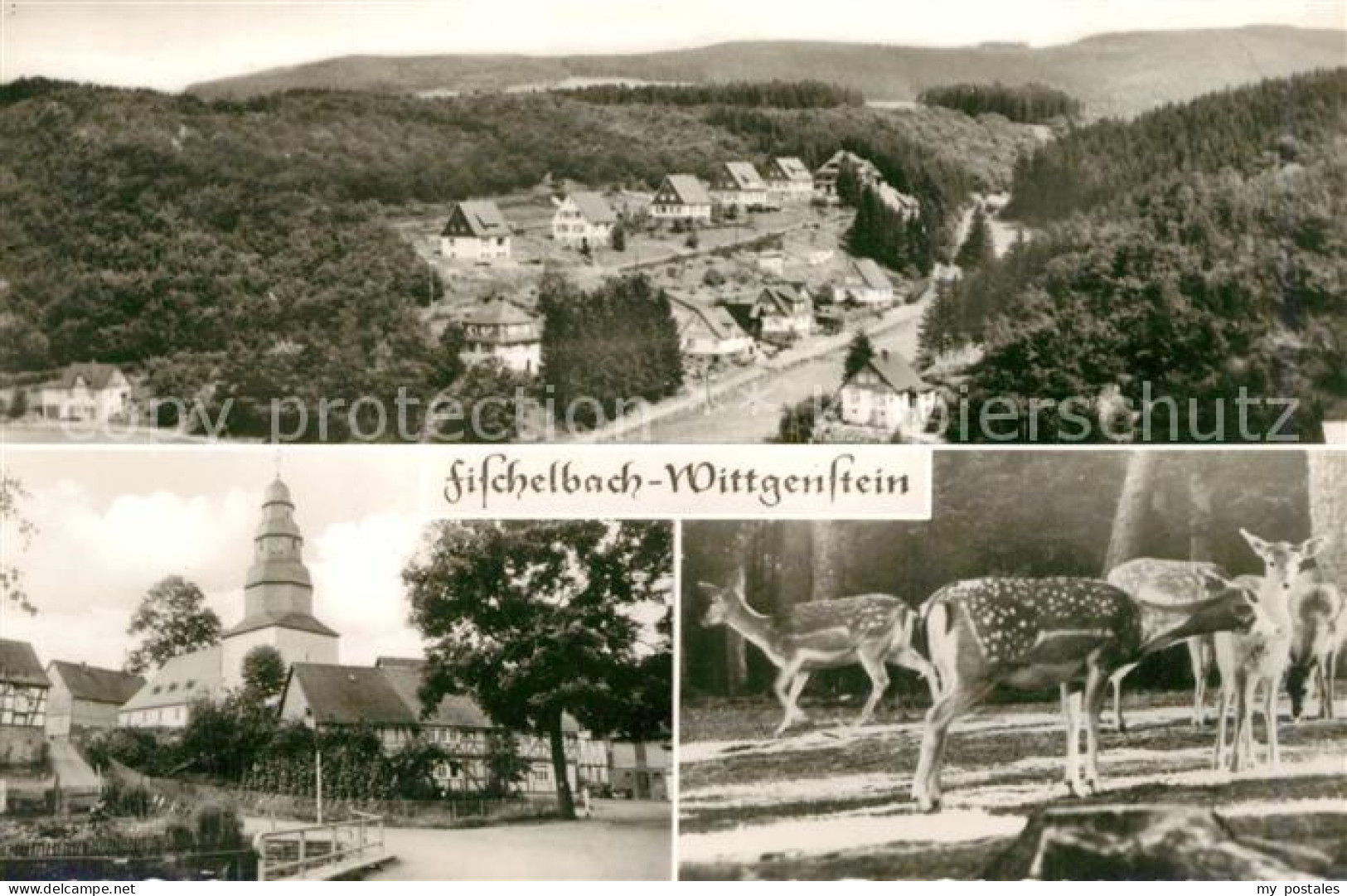 73246418 Fischelbach Landschaftspanorama Ortsmotiv Mit Kirche Rehe Fischelbach - Bad Laasphe
