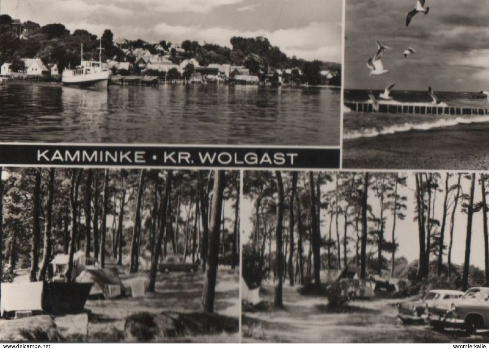 43382 - Kamminke - Mit 4 Bildern - 1971 - Greifswald