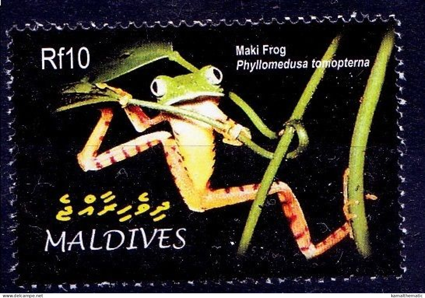 Maldives 2004 MNH, Maki Frog, Amphibians - Rane