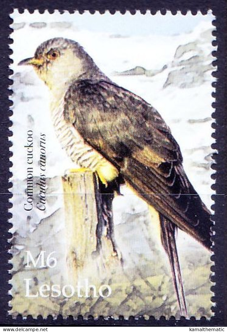 Common Cuckoo, Birds, Lesotho 2004 MNH - Koekoeken En Toerako's