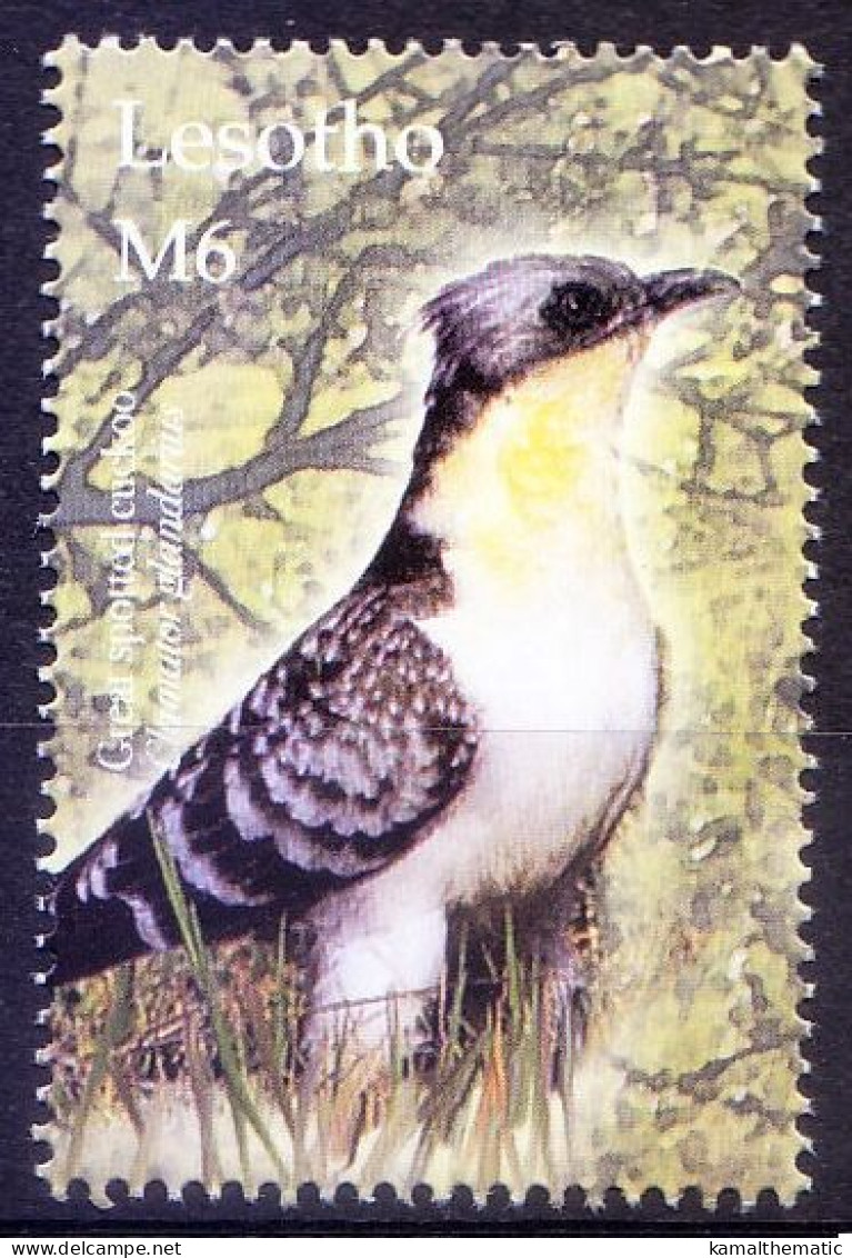 Great Spotted Cuckoo, Birds, Lesotho 2004 MNH - Cuculi, Turaco