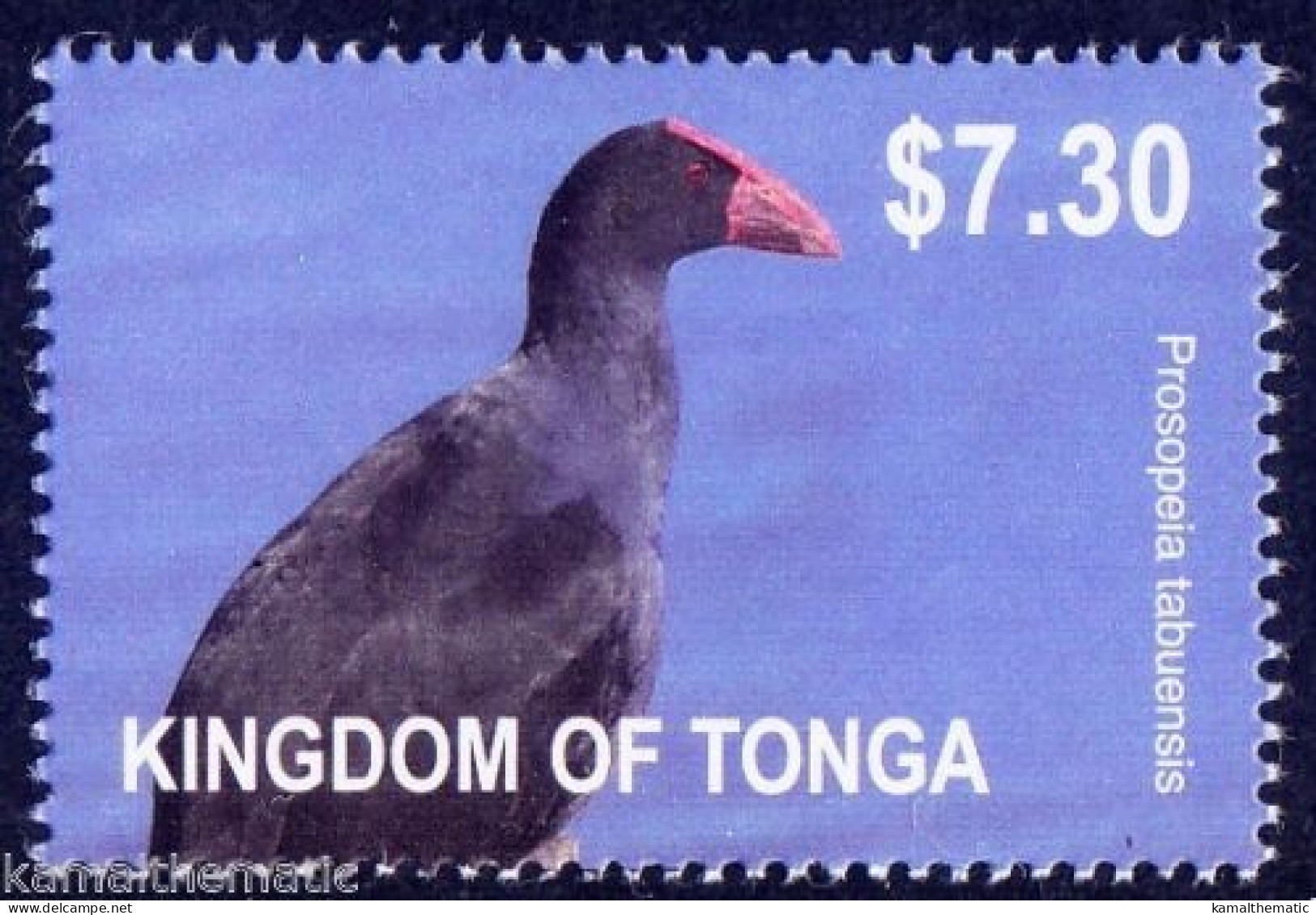 Water Birds, Australasian Swamphen , Kingdom Of Tonga 2012 MNH - Marine Web-footed Birds