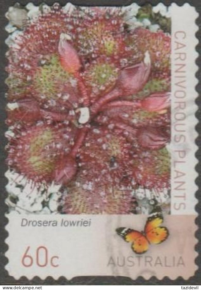 AUSTRALIA - DIE-CUT - USED - 2013 60c Carnivorous Plants - Drosera Lowriei - Oblitérés