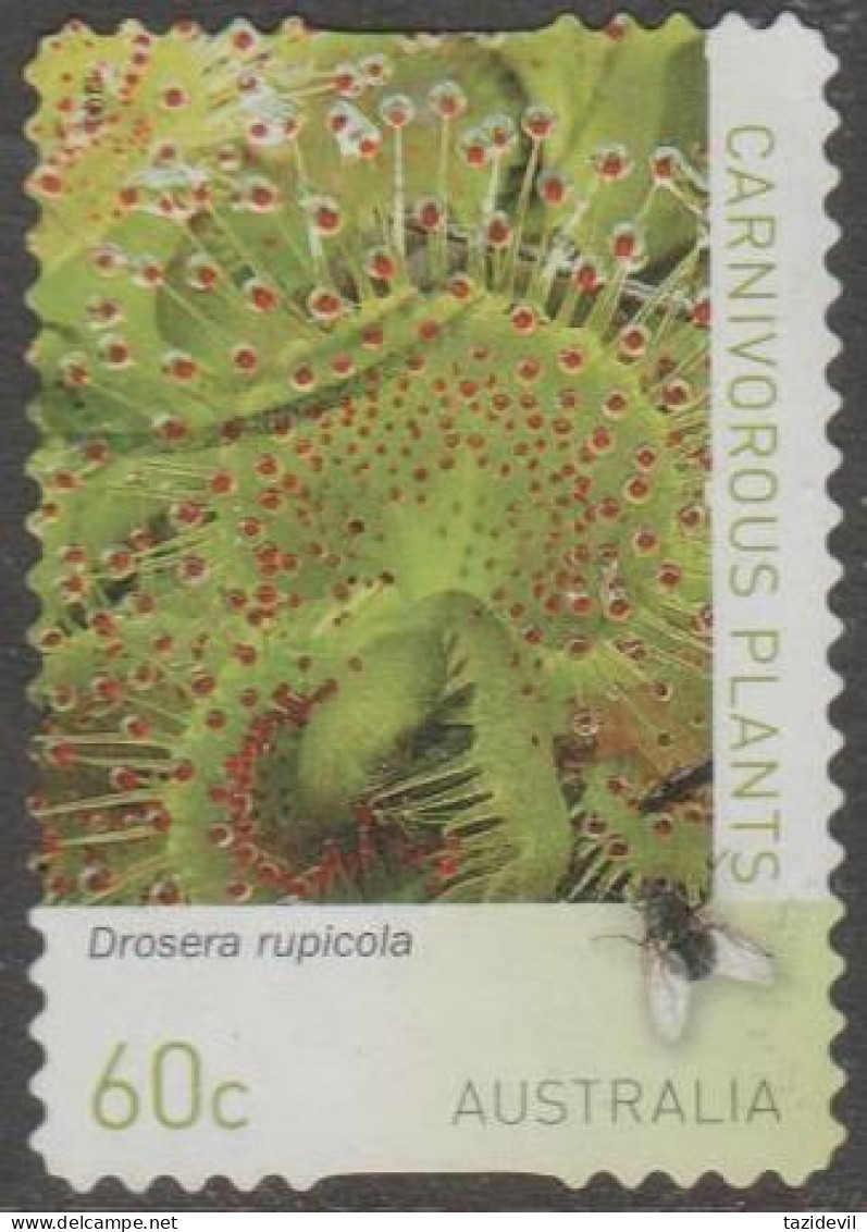 AUSTRALIA - DIE-CUT - USED - 2013 60c Carnivorous Plants - Drosera Rupicola - Gebraucht