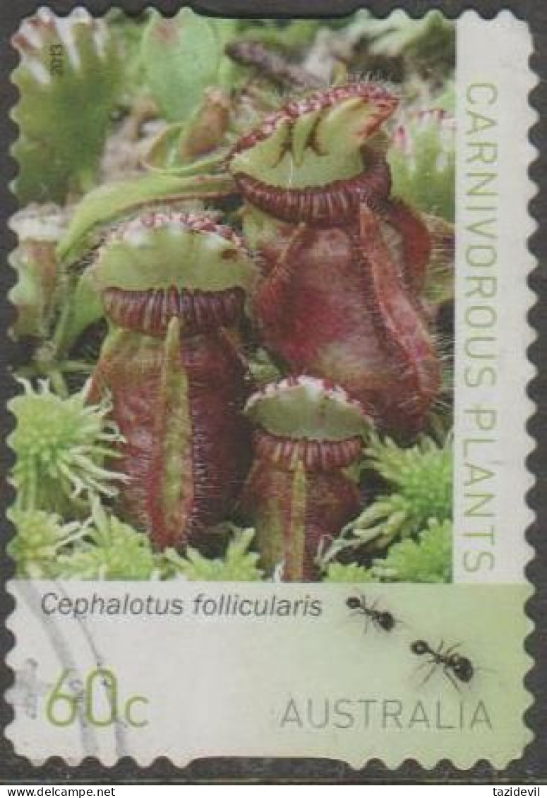 AUSTRALIA - DIE-CUT - USED - 2013 60c Carnivorous Plants - Cephalotus Follicularis - Gebraucht
