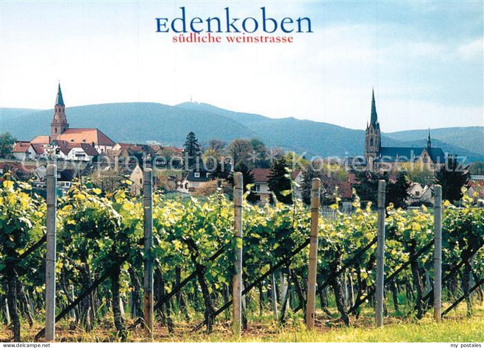 73240214 Edenkoben Weinberge Kirchen Edenkoben - Edenkoben