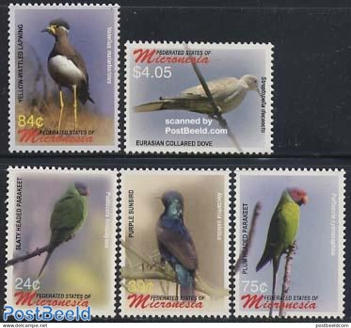 Micronesia 2006 Definitives, Birds 5v, Mint NH, Nature - Birds - Micronésie