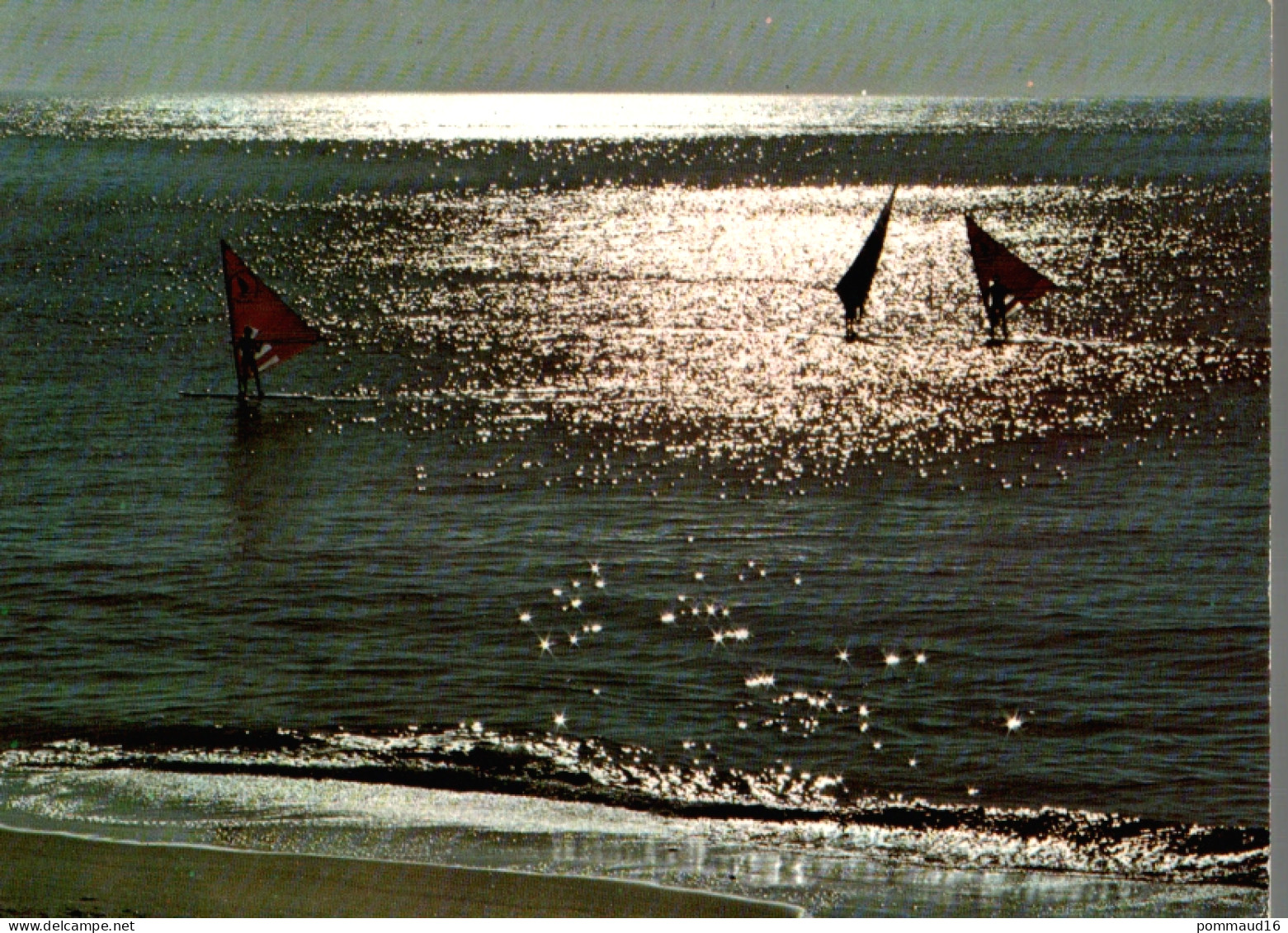 CPM La Planche à Voile - Voile