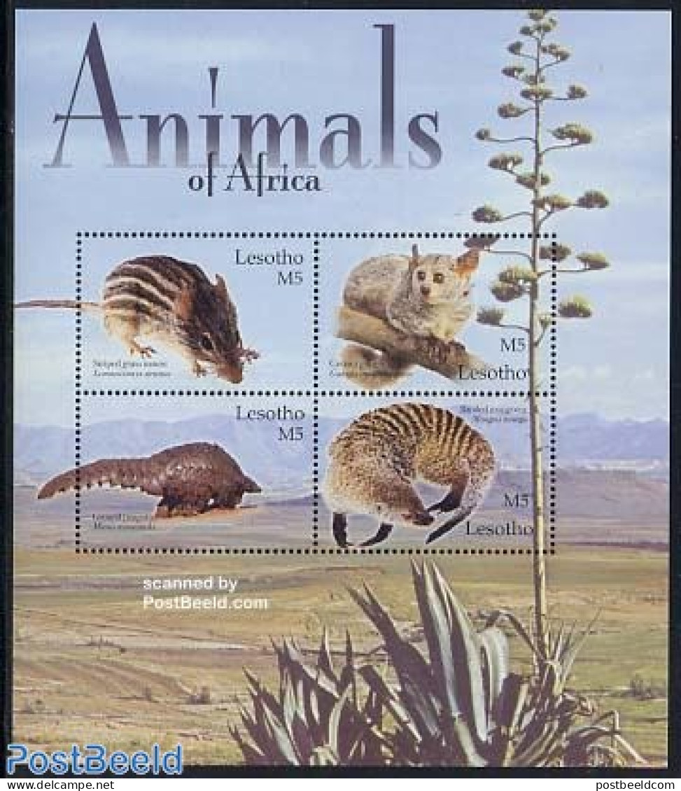 Lesotho 2004 Animals 4v M/s, Striped Grass Mouse, Mint NH, Nature - Animals (others & Mixed) - Lesotho (1966-...)