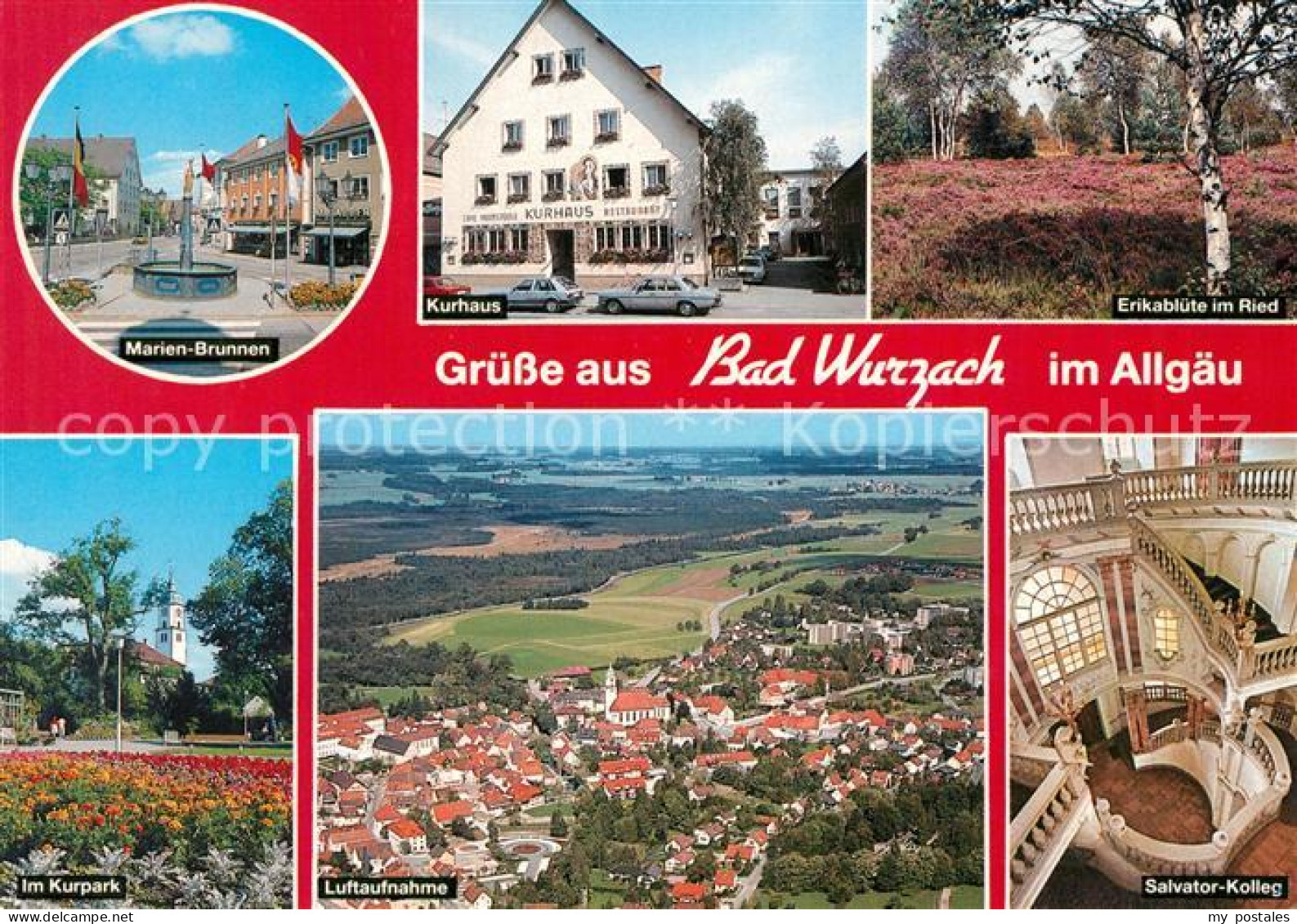 73237630 Bad Wurzach Marien-Brunnen Kurhaus Erikabluete Im Ried Kurpark Salvator - Bad Wurzach