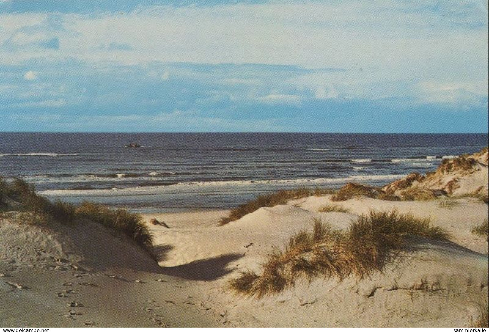 32771 - Niederlande - Texel - Ca. 1975 - Texel