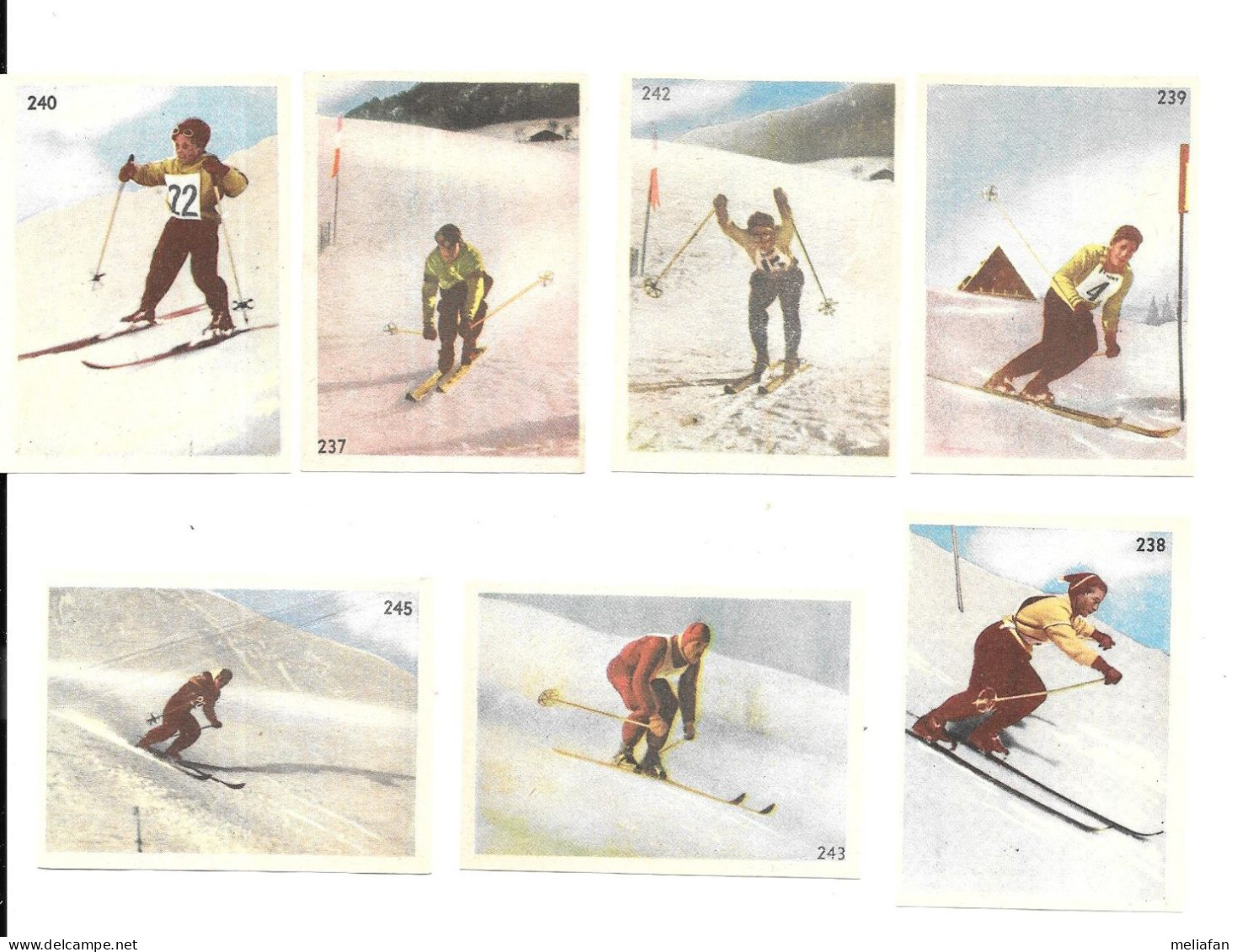 DE07 - IMAGES ETOILE DES ALPES - SKI - Winter Sports
