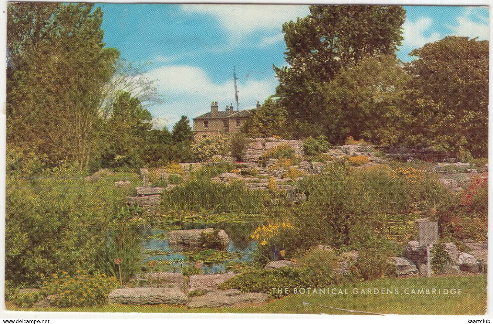 The Botanical Gardens, Cambridge - (England, U.K.)  - 1979 - Cambridge