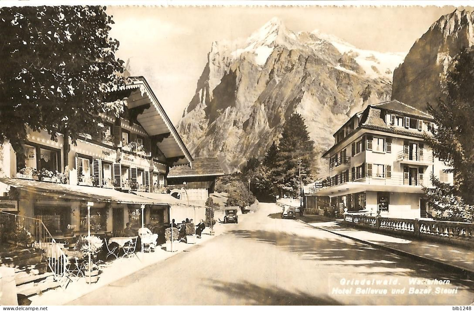 Suisse > Griadelwald - Hotel Bellevue - Wald