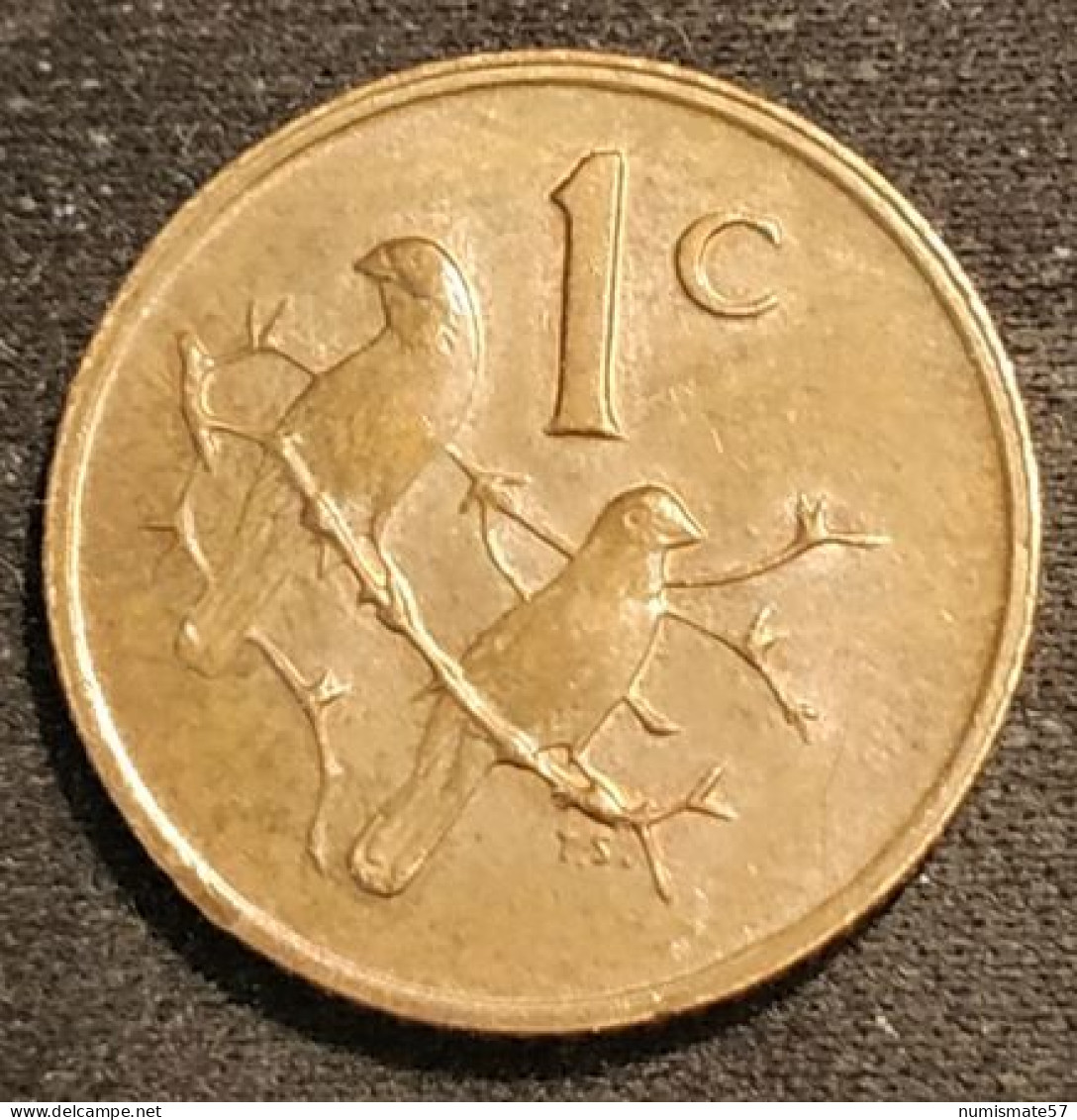 AFRIQUE DU SUD - 1 CENT 1978 - SUID-AFRIKA - SOUTH AFRICA - KM 82 - ( Oiseau Moineaux Du Cap ) - Afrique Du Sud