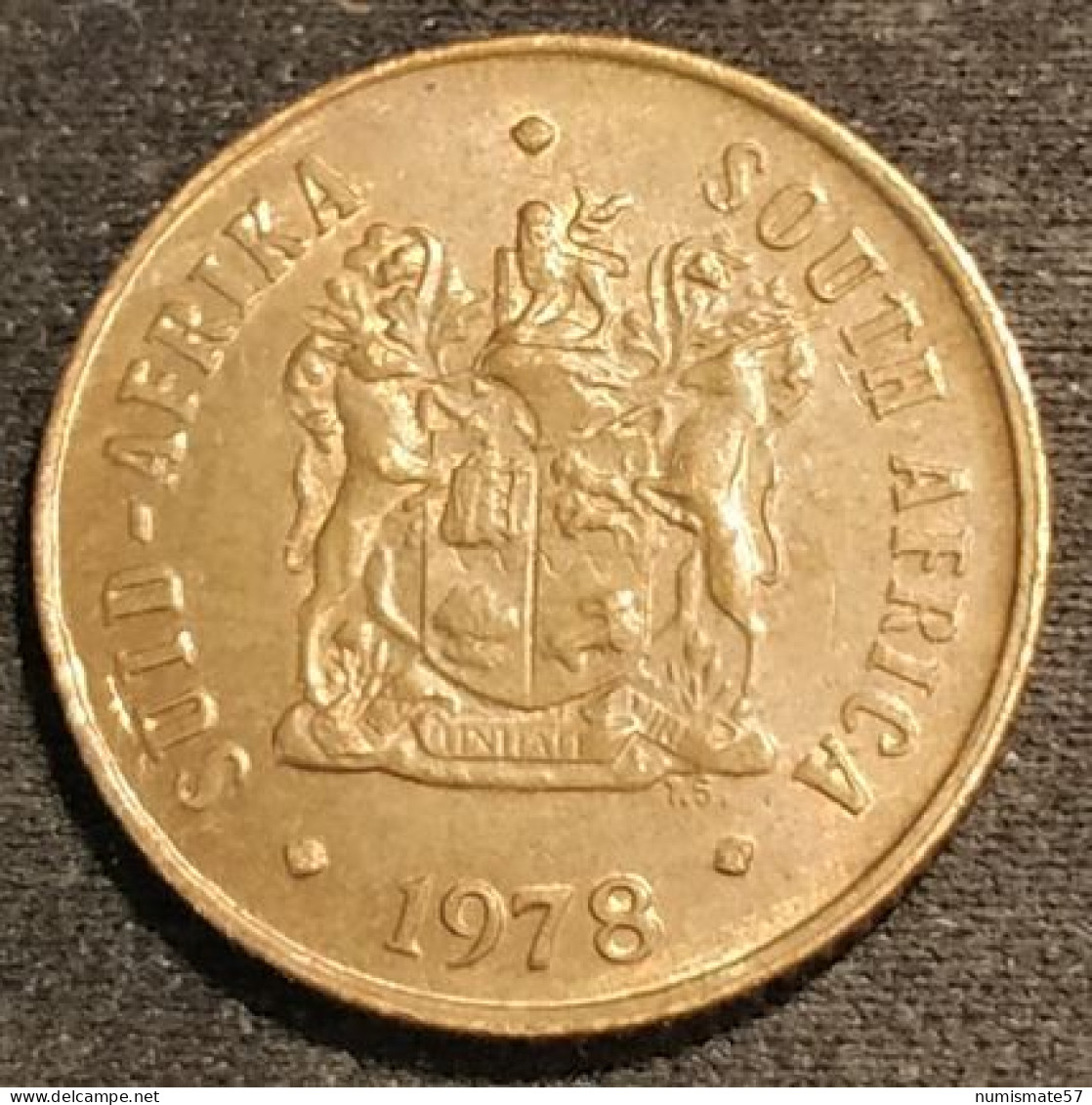 AFRIQUE DU SUD - 1 CENT 1978 - SUID-AFRIKA - SOUTH AFRICA - KM 82 - ( Oiseau Moineaux Du Cap ) - South Africa