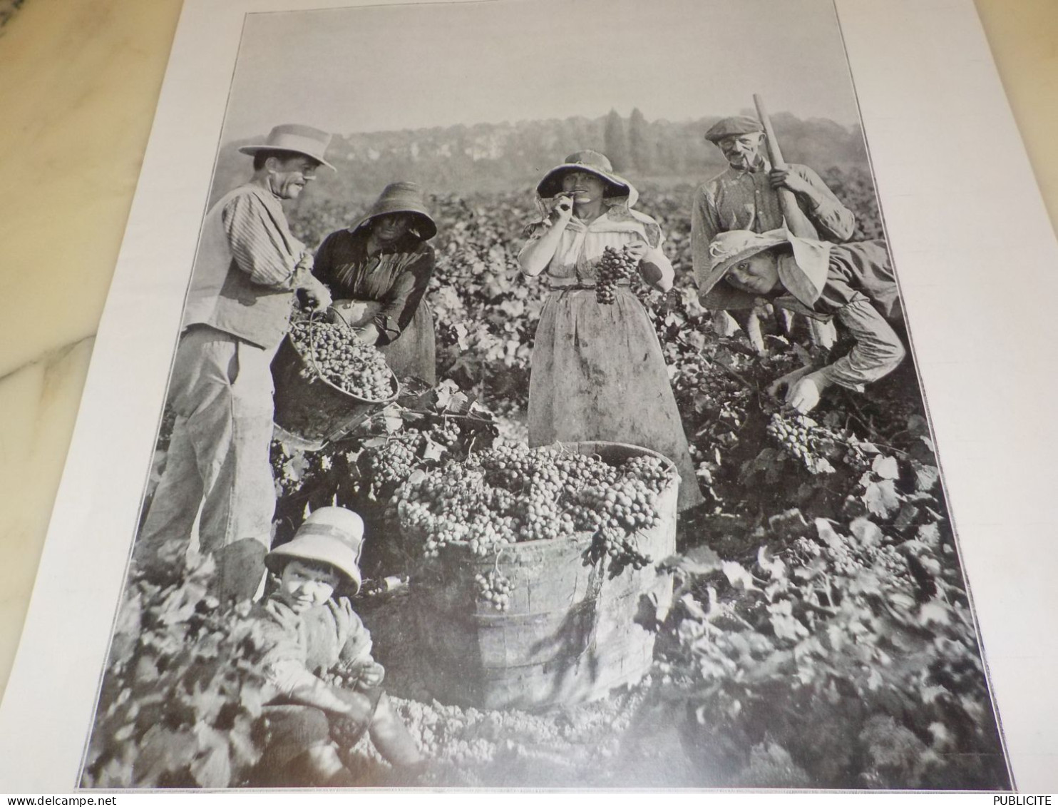 PHOTO VENDANGE PAYS DE BEZIERS  1921 - Non Classés