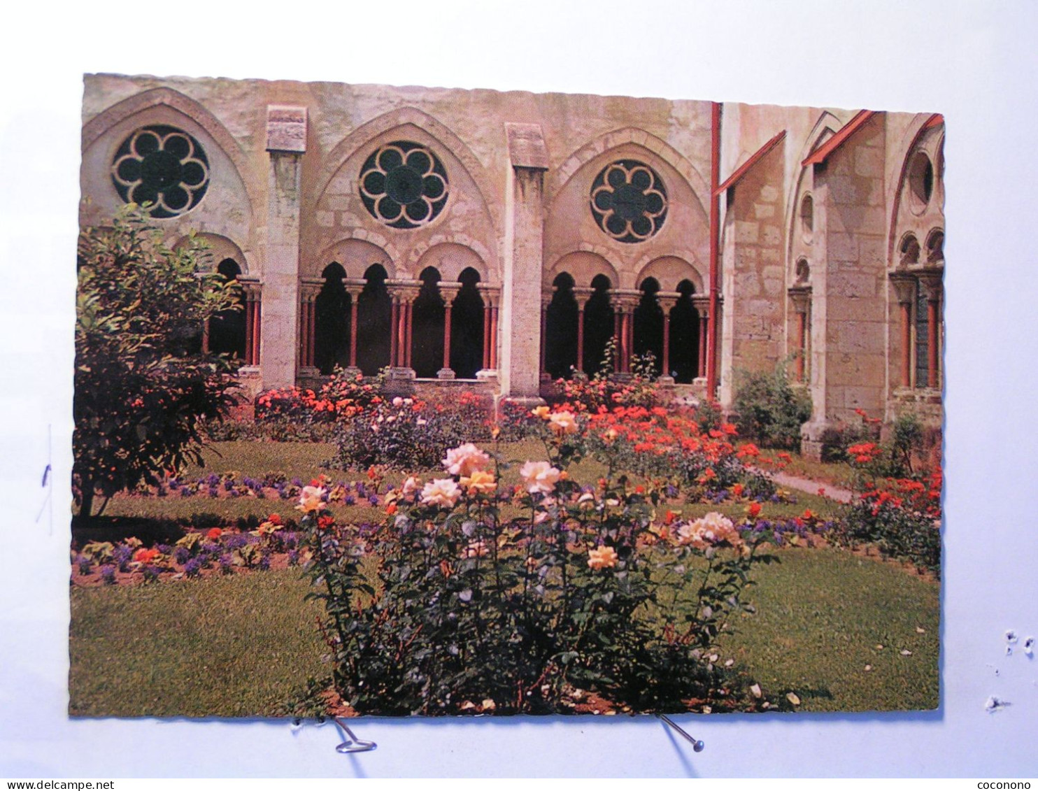 Stift Heiligenkreuz - Kreuzganggarten - Heiligenkreuz