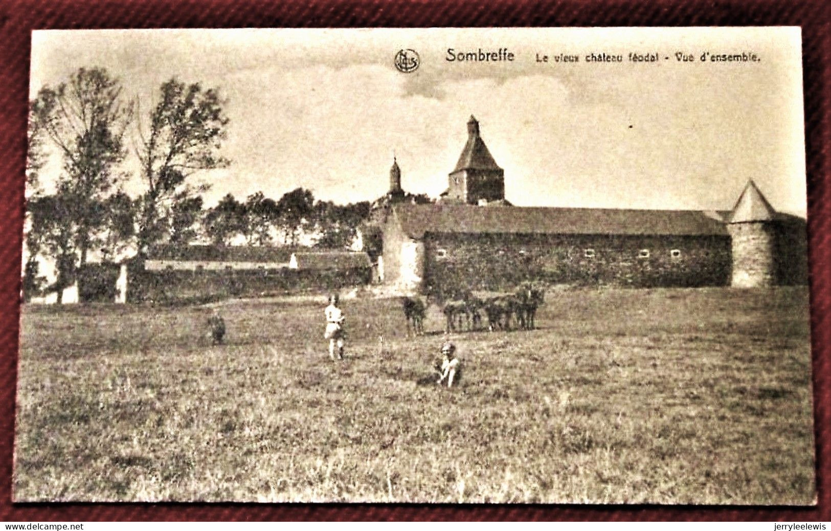 SOMBREFFE  -  Le Vieux Château  Féodal  - Vue D'ensemble - Sombreffe