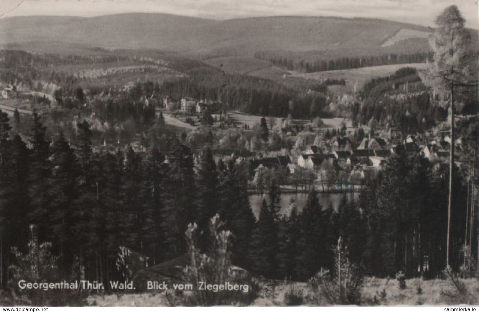 110862 - Georgenthal - Blick Vom Ziegelberg - Georgenthal