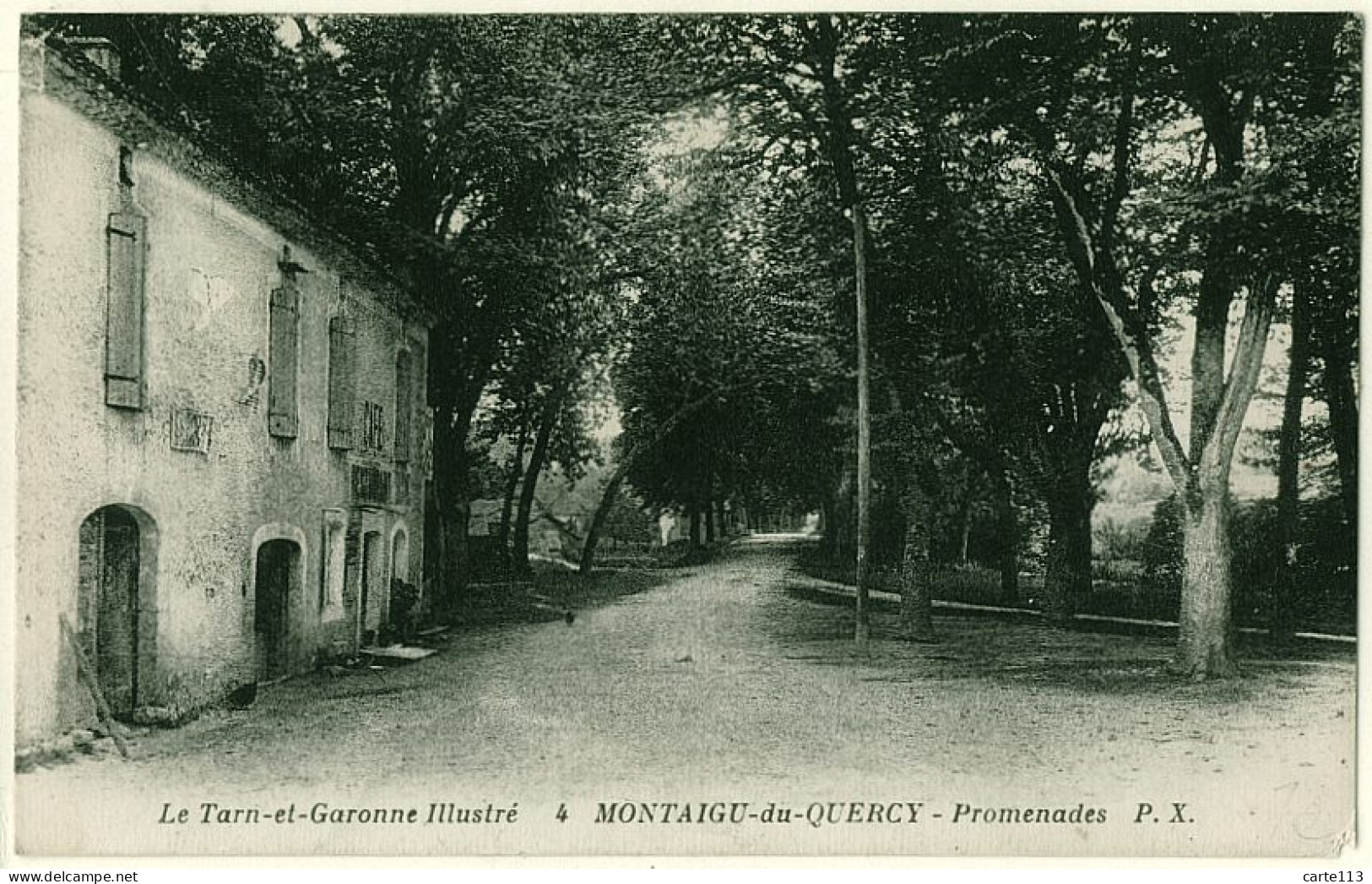 82 - B16350CPA - MONTAIGU DU QUERCY - Promenades - Bon état - TARN-ET-GARONNE - Montaigu De Quercy