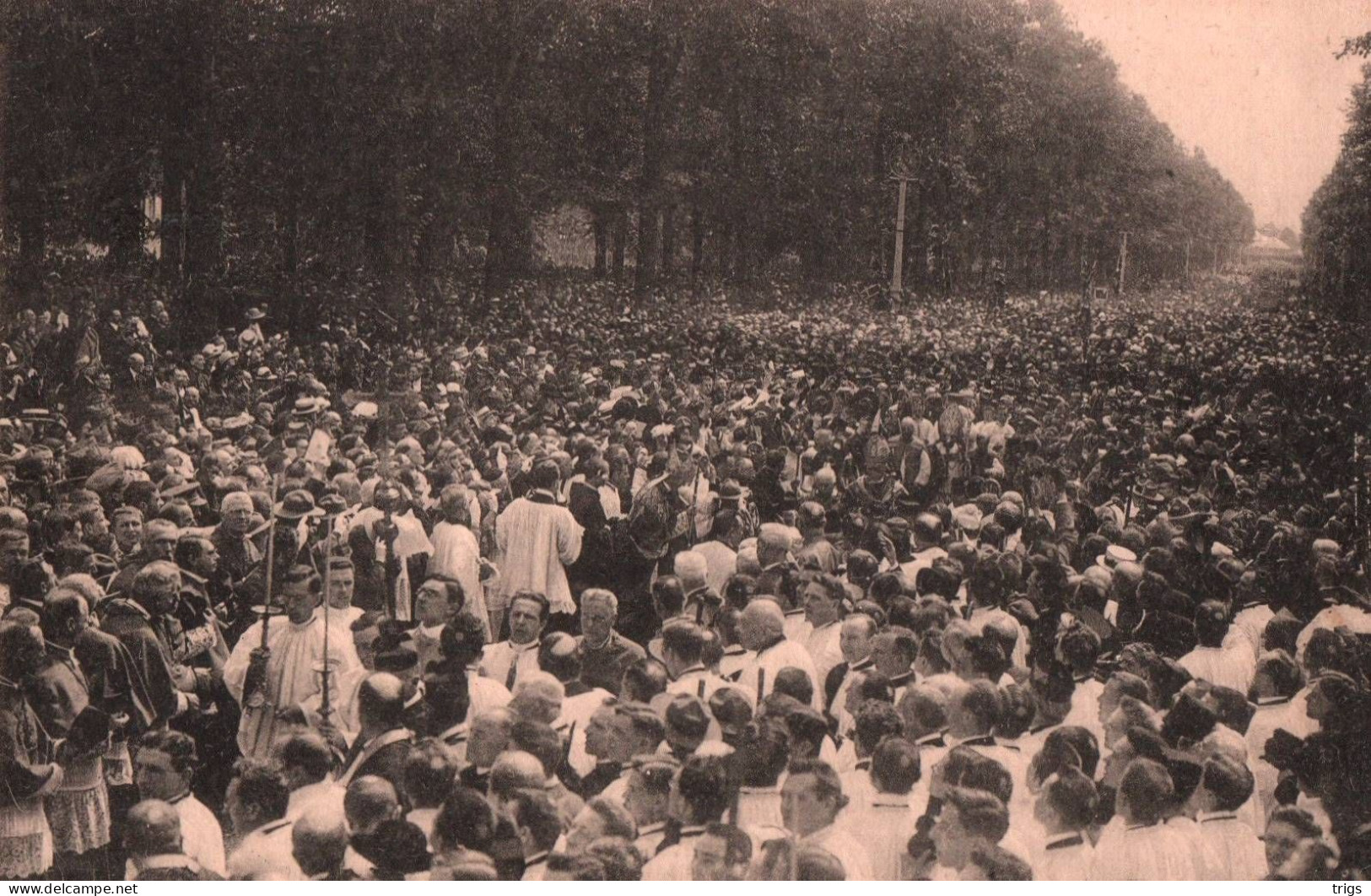 Koekelberg (29 Juin 1919, Cérémonie De Reconnaissance Nationale Envers Le S. Coeur) - La Messe, Arrivée Des Évêques - Koekelberg