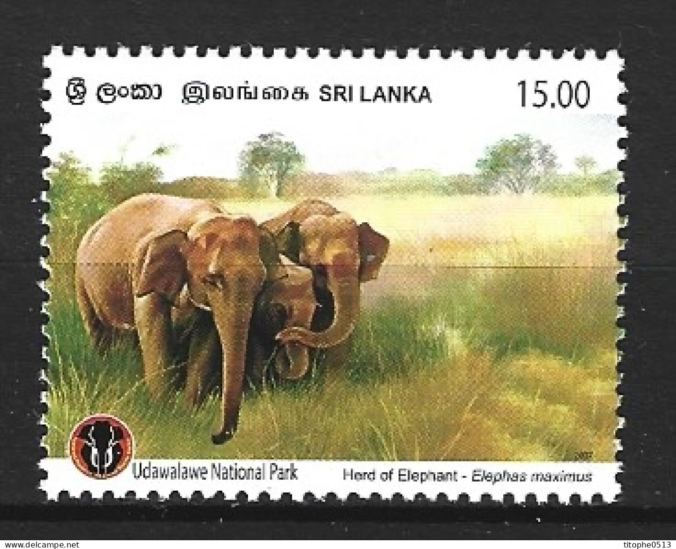 SRI LANKA. N°1619 De 2007. Eléphants. - Eléphants