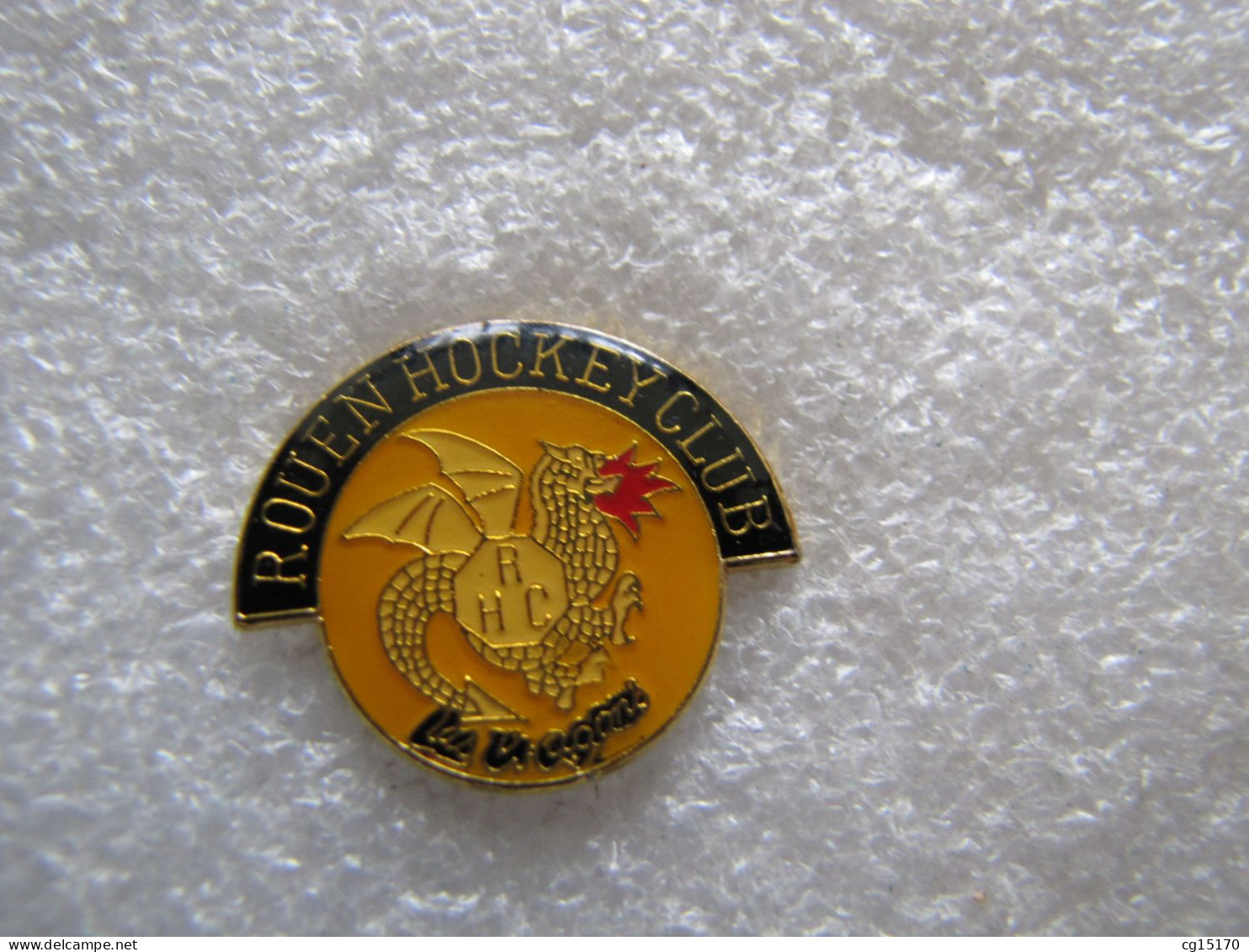 PIN'S   SPORT  HOCKEY SUR GLACE   ROUEN   DRAGONS - Winter Sports