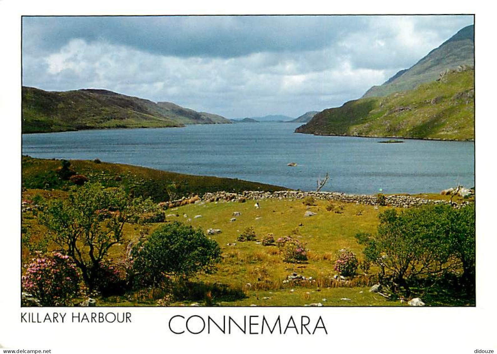 Irlande - Galway - Connemara - Killary Harbour - Carte Neuve - Ireland - CPM - Voir Scans Recto-Verso - Galway