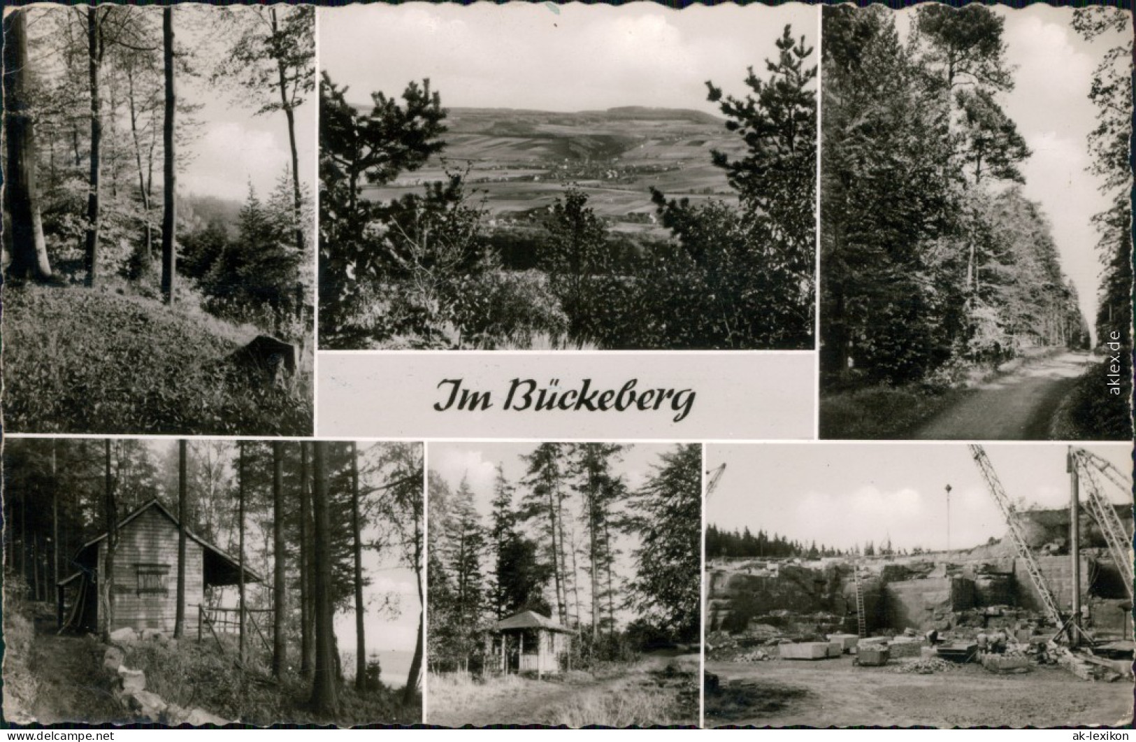 Ansichtskarte Bückeburg Waldmotive, Übersicht, Hütte, Steinbruch 1962 - Bueckeburg