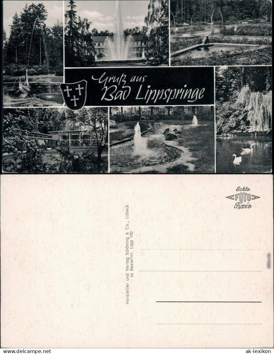 Ansichtskarte Bad Lippspringe Kurpark 1955 - Bad Lippspringe