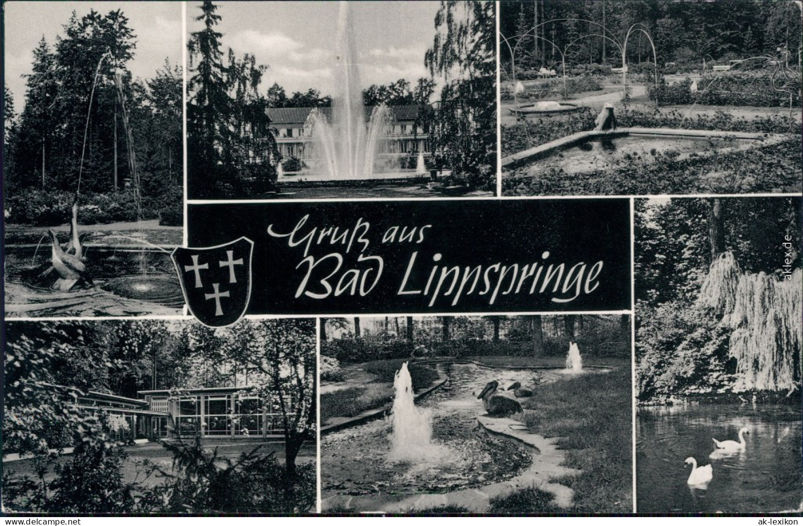 Ansichtskarte Bad Lippspringe Kurpark 1955 - Bad Lippspringe