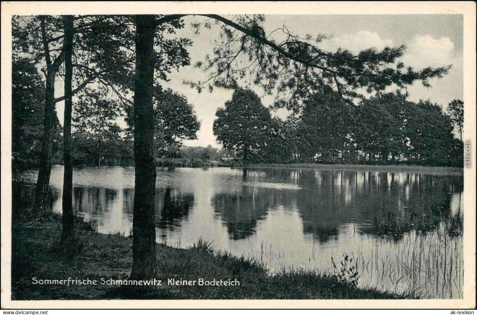 Ansichtskarte Schmannewitz-Dahlen Partie Kleiner Badeteich 1938  - Dahlen