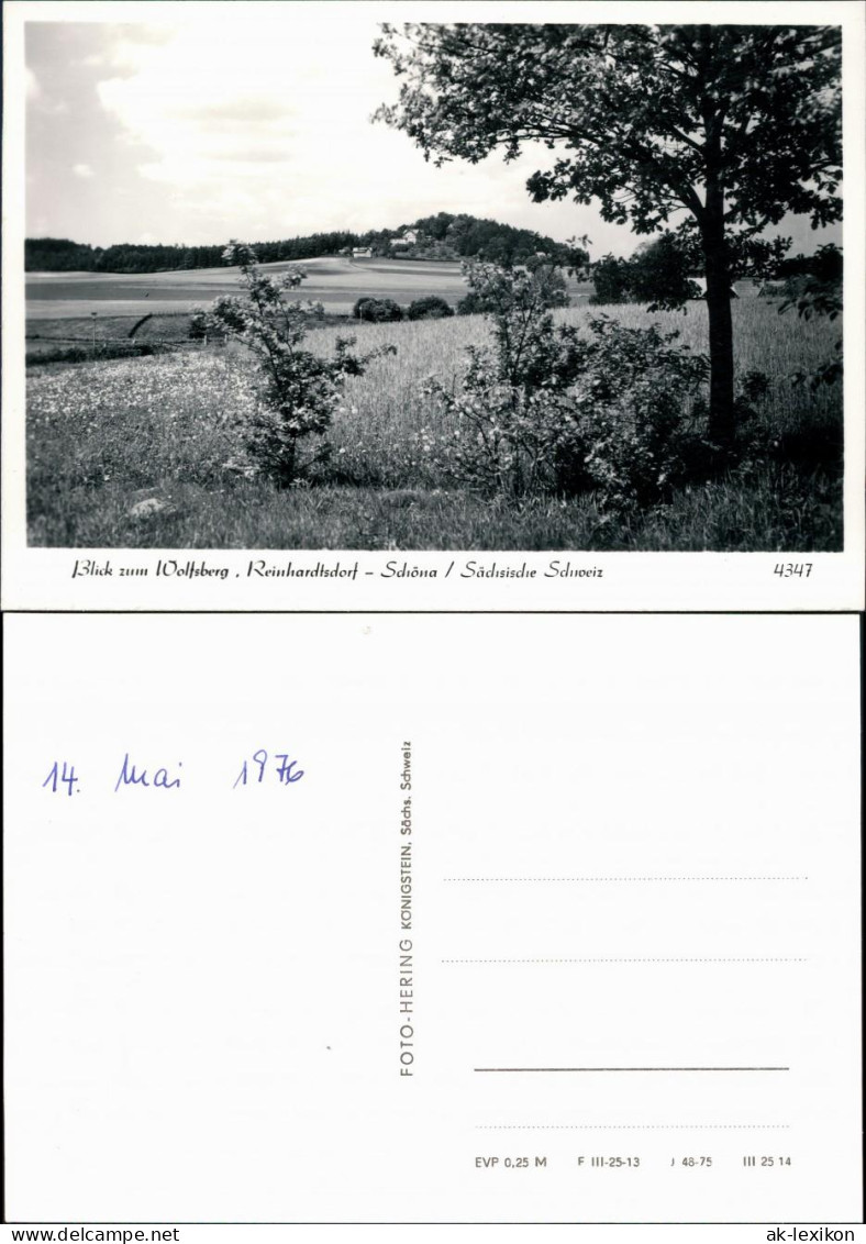 Ansichtskarte Reinhardtsdorf-Reinhardtsdorf-Schöna Wolfsberg 1975 - Schöna