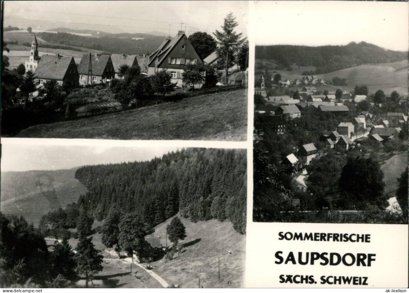 Saupsdorf-Kirnitzschtal Blick Zur Kirche, Panorama, Blick Ins Tal 1962 - Kirnitzschtal