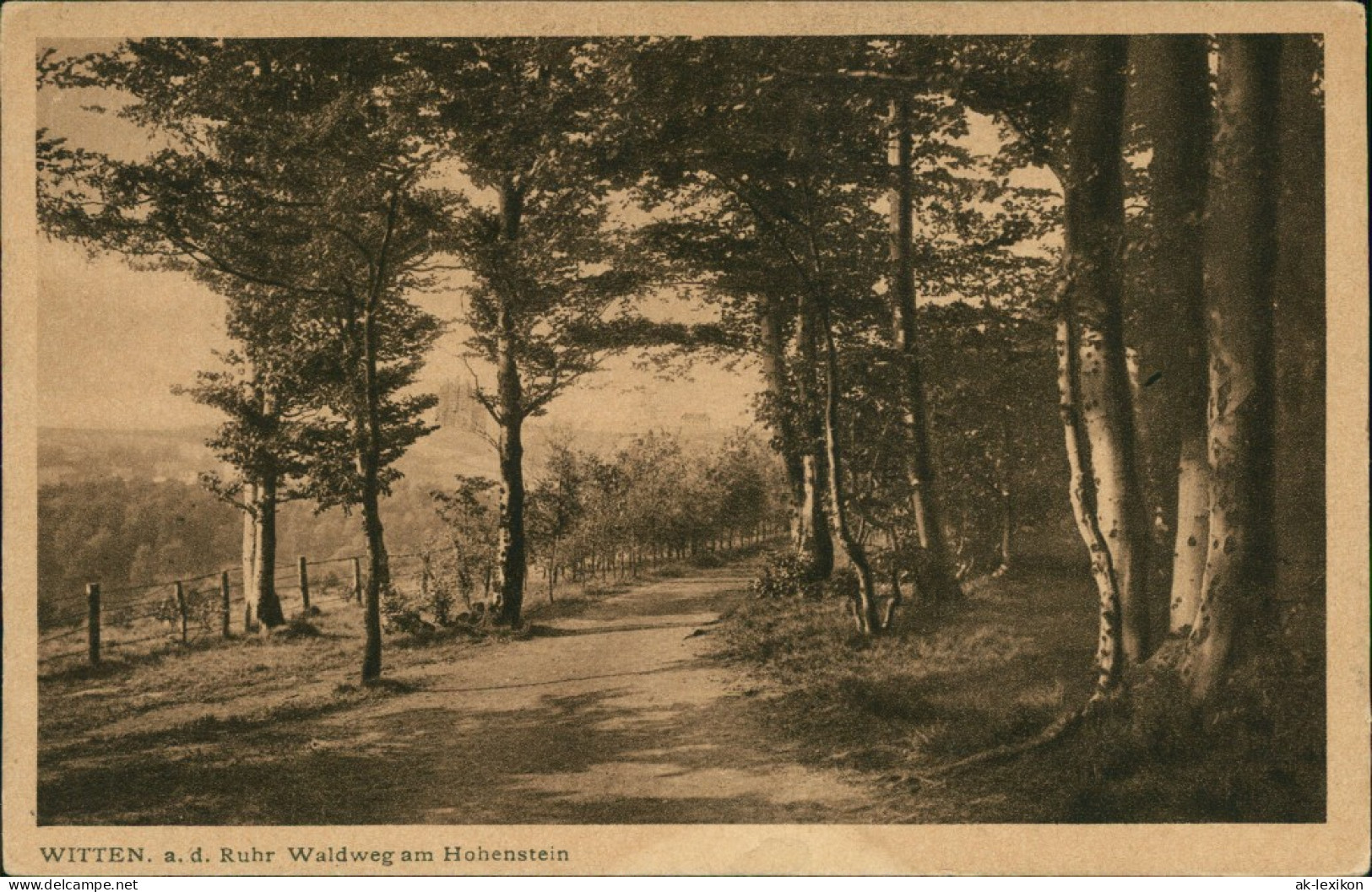 Ansichtskarte Witten (Ruhr) Waldweg Am Hohenstein 1919 - Witten