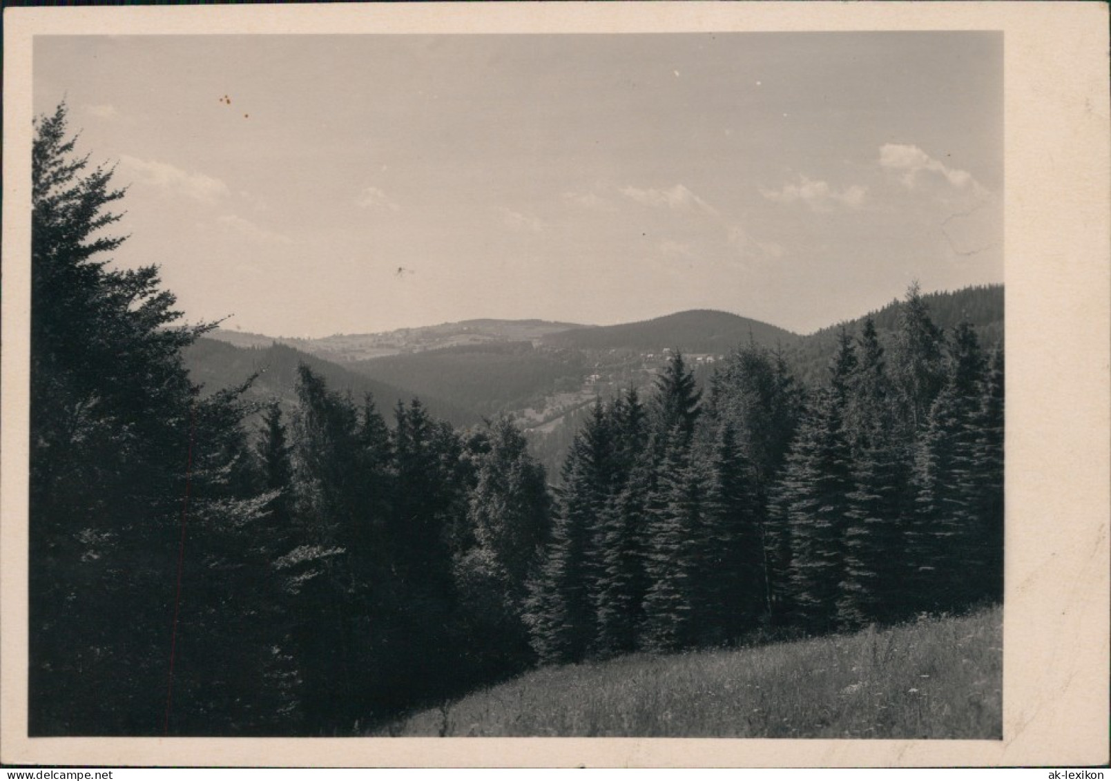 Schellerhau-Altenberg (Erzgebirge)  Hohen-Brand  Schellerhau 1950 Privatfoto - Schellerhau